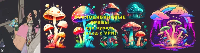 Галлюциногенные грибы Cubensis  купить наркоту  Болохово 